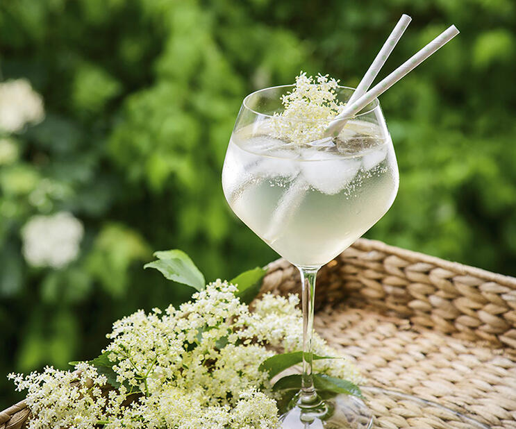 Kocomo Natural Garden